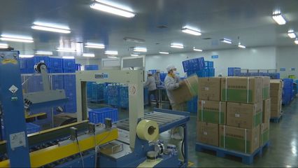 安全培訓達標上崗，漢方科技以網絡技術開發奏響復工復產前奏曲